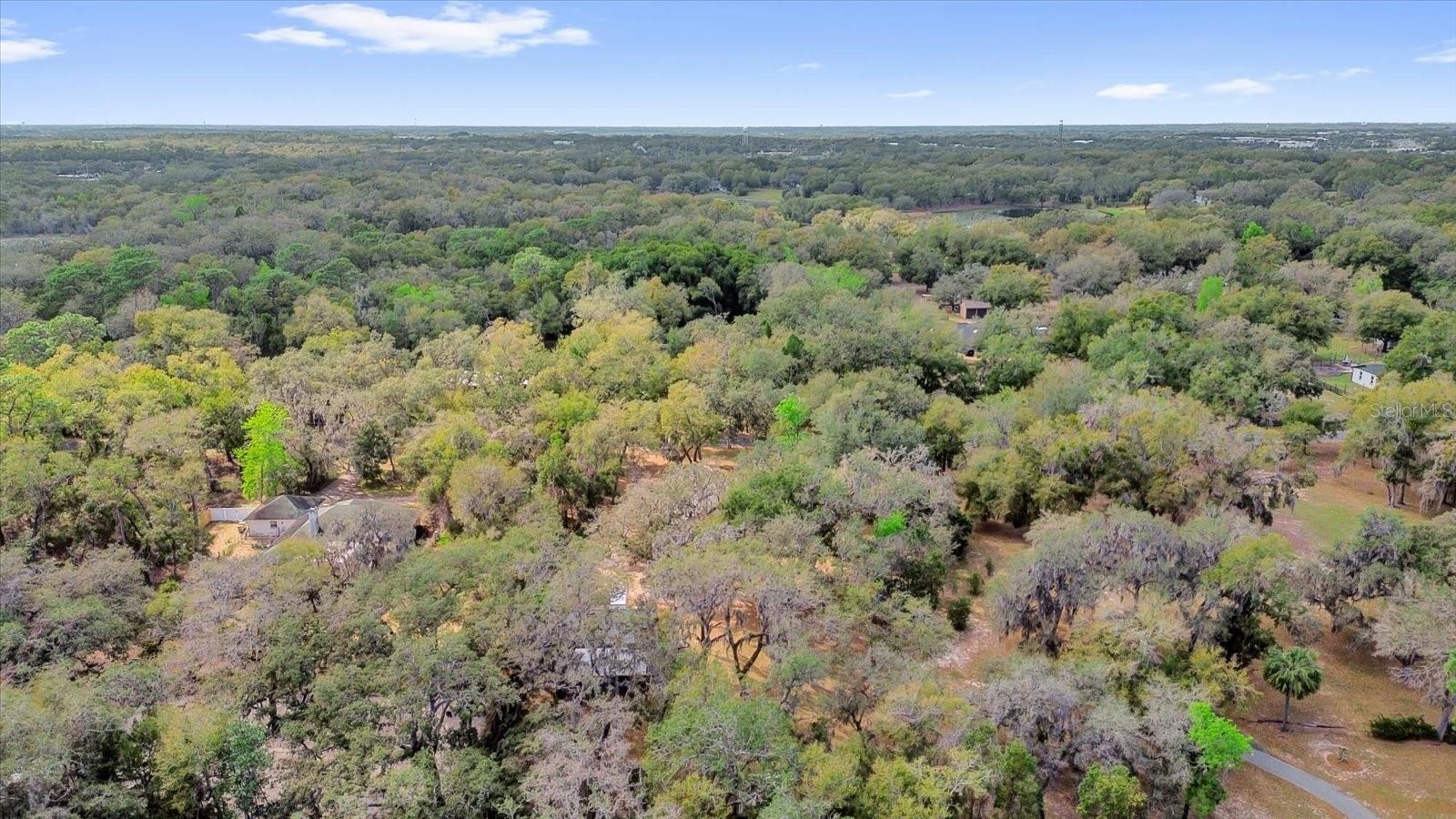 39104 MEYERS RD, LADY LAKE, FL, 32159