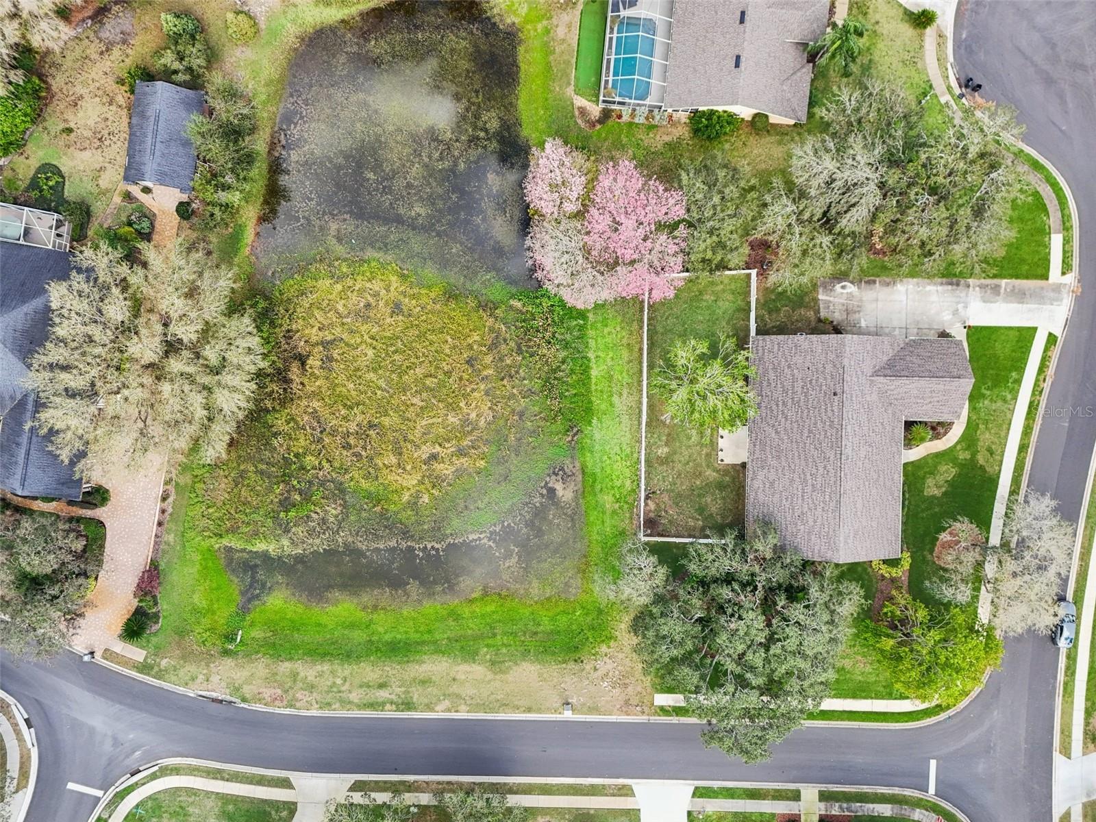 YORKSHIRE, LAKELAND, FL, 33809
