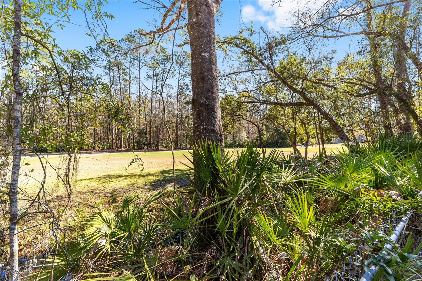 4207 NE 17TH TER, GAINESVILLE, FL, 32609