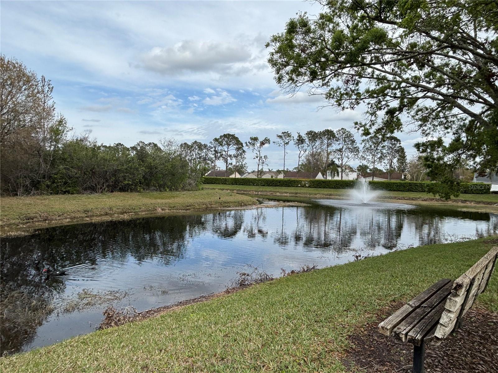 5640 TUGHILL DR, TAMPA, FL, 33624