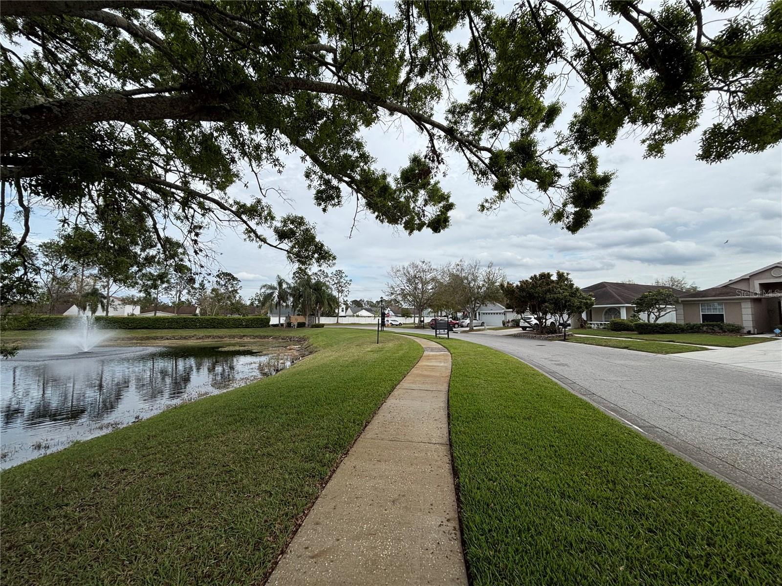 5640 TUGHILL DR, TAMPA, FL, 33624
