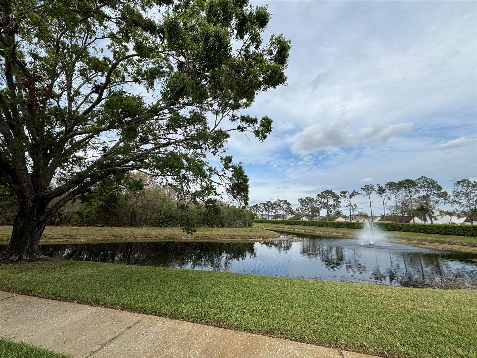 5640 TUGHILL DR, TAMPA, FL, 33624