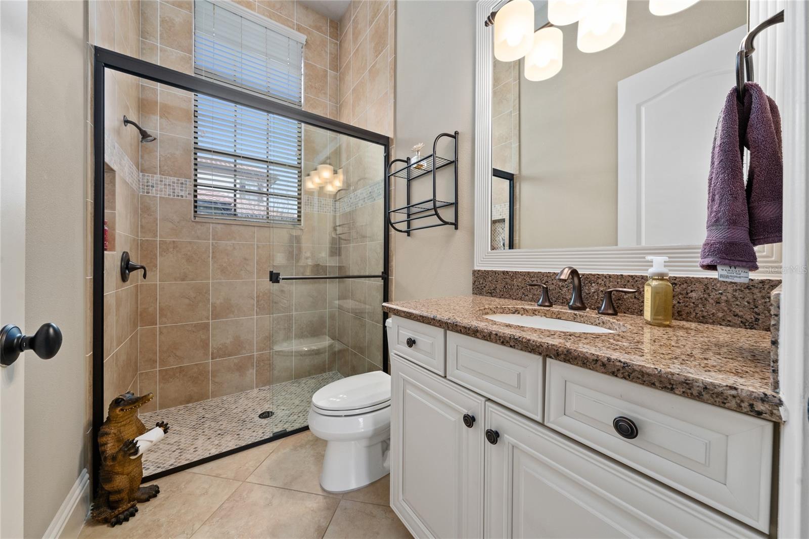 11856 VINCI DR, WINDERMERE, FL, 34786
