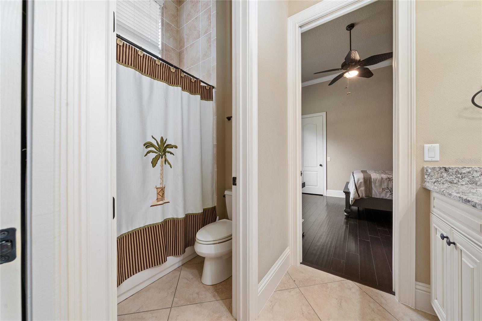 11856 VINCI DR, WINDERMERE, FL, 34786