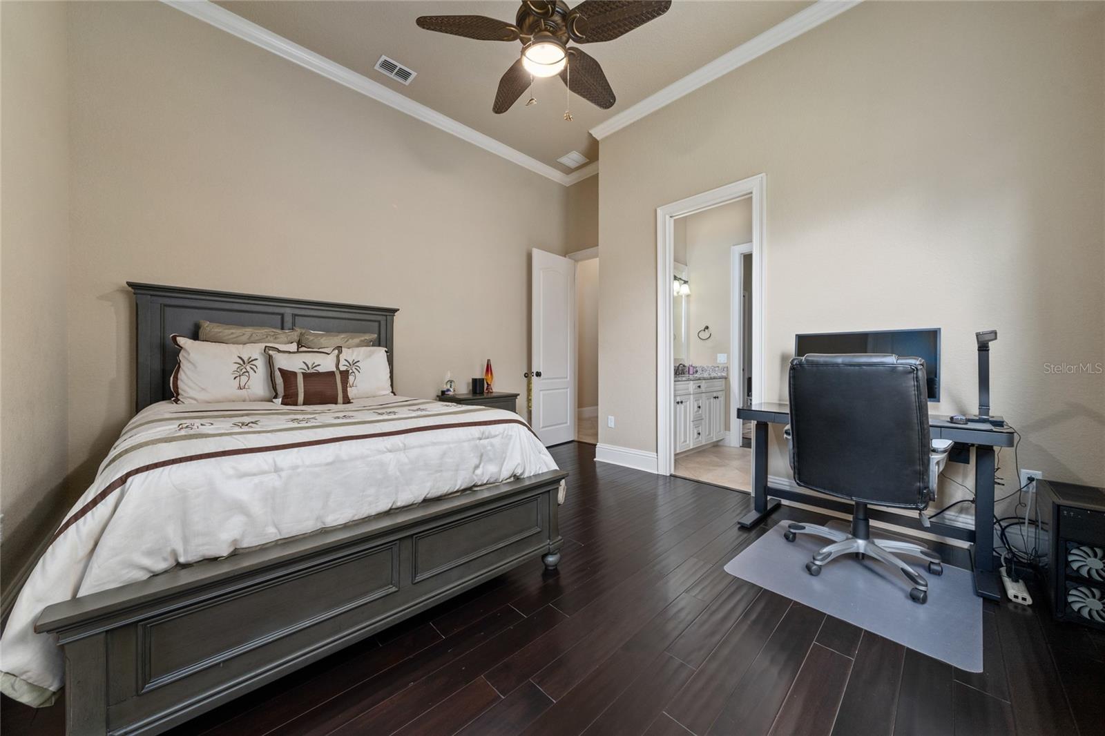 11856 VINCI DR, WINDERMERE, FL, 34786