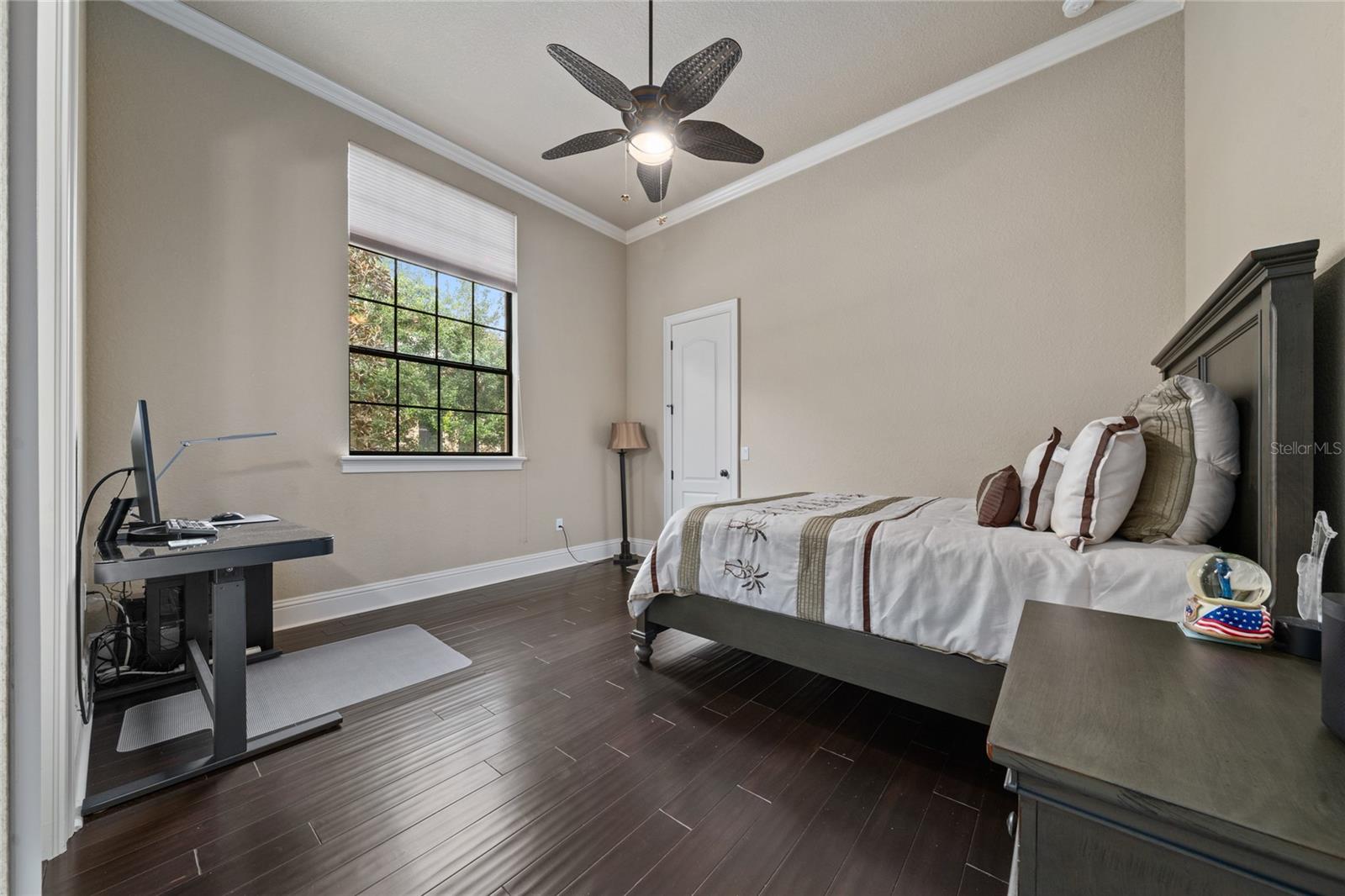11856 VINCI DR, WINDERMERE, FL, 34786