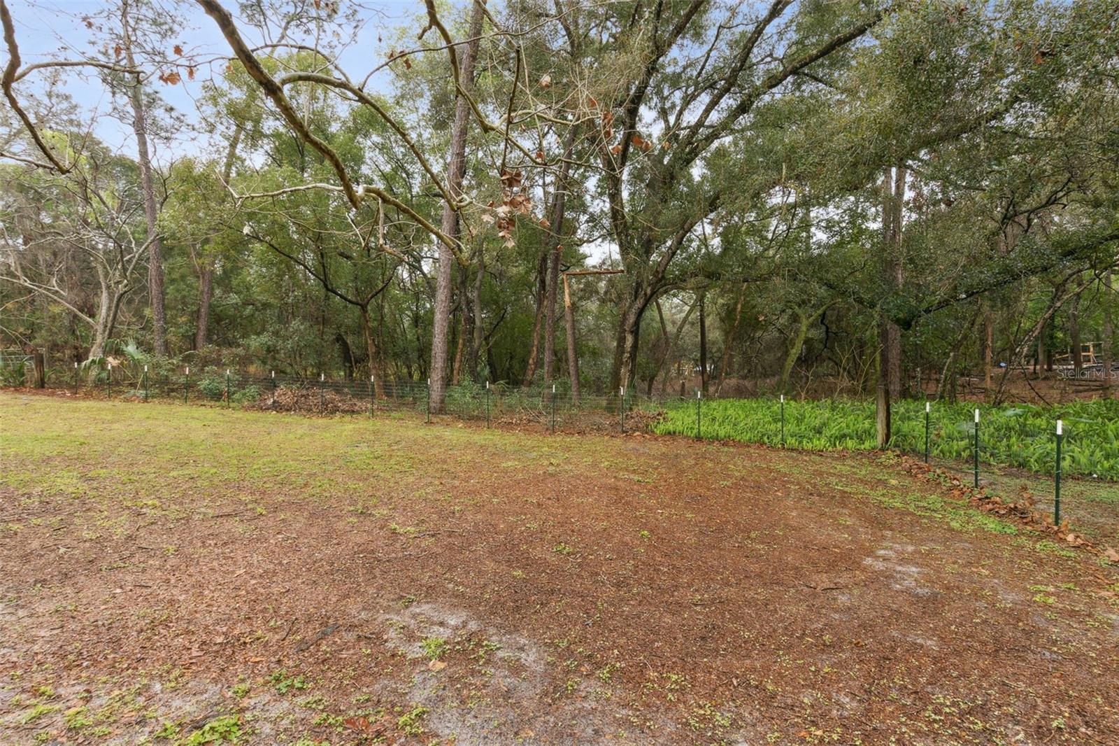 749 CASSADAGA RD, LAKE HELEN, FL, 32744