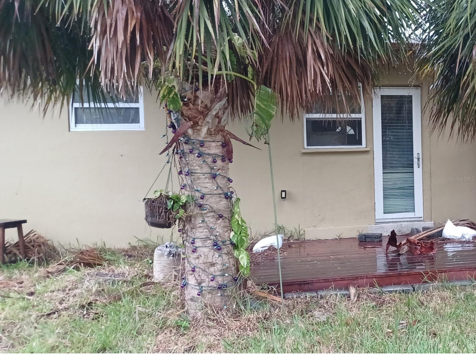 5029 OSPREY LN, NEW PORT RICHEY, FL, 34652