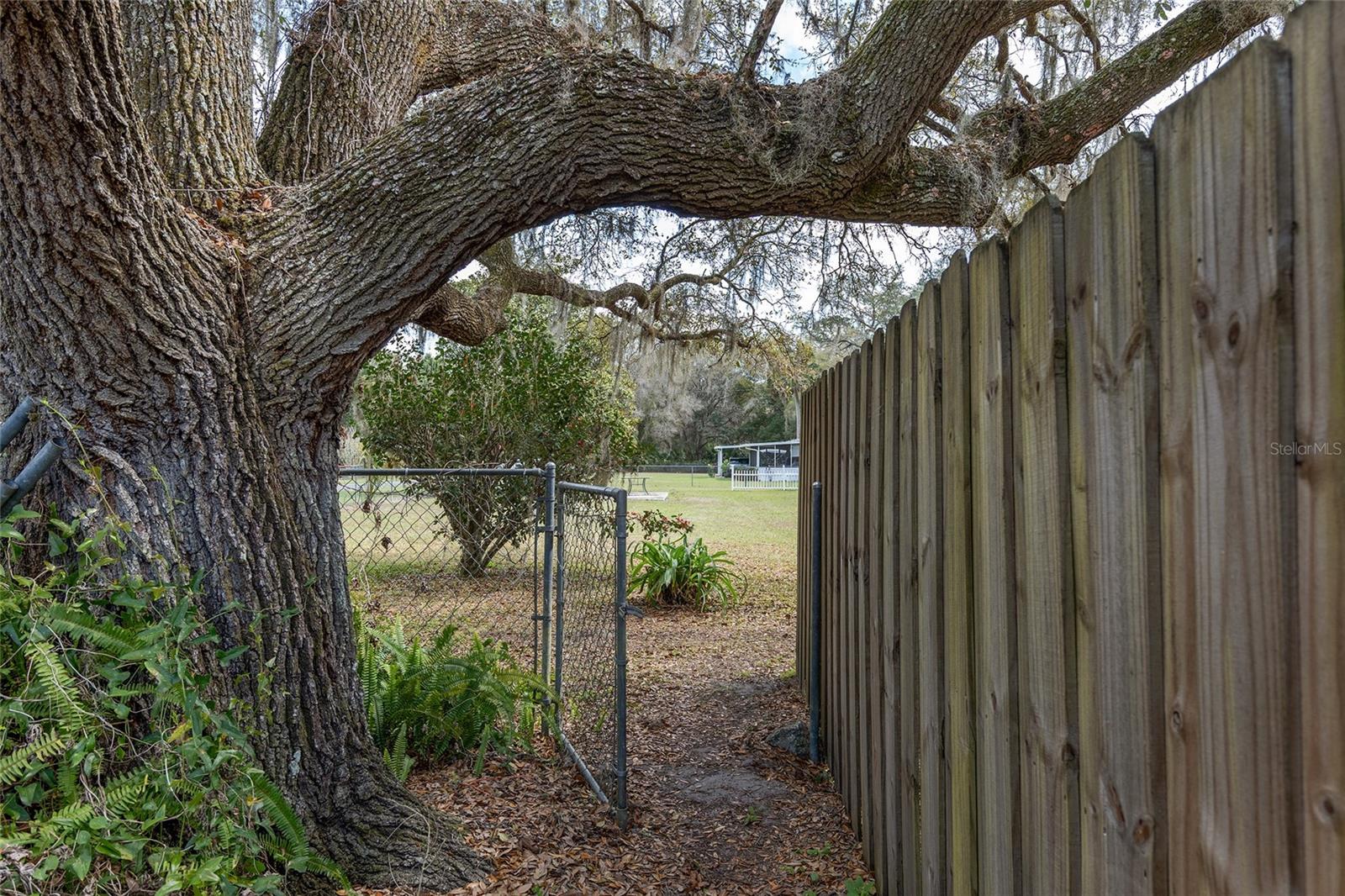 15375 NE 148TH TER, FORT MC COY, FL, 32134