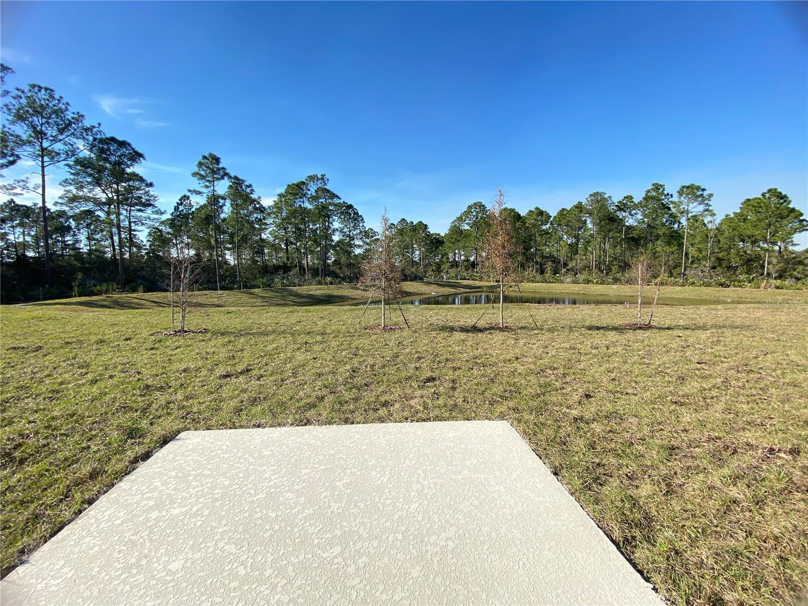 3947 WILLOWBROOK DR, EDGEWATER, FL, 32141