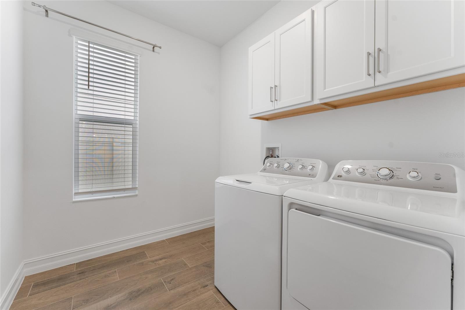 18255 SERENE LAKE LOOP, LUTZ, FL, 33548