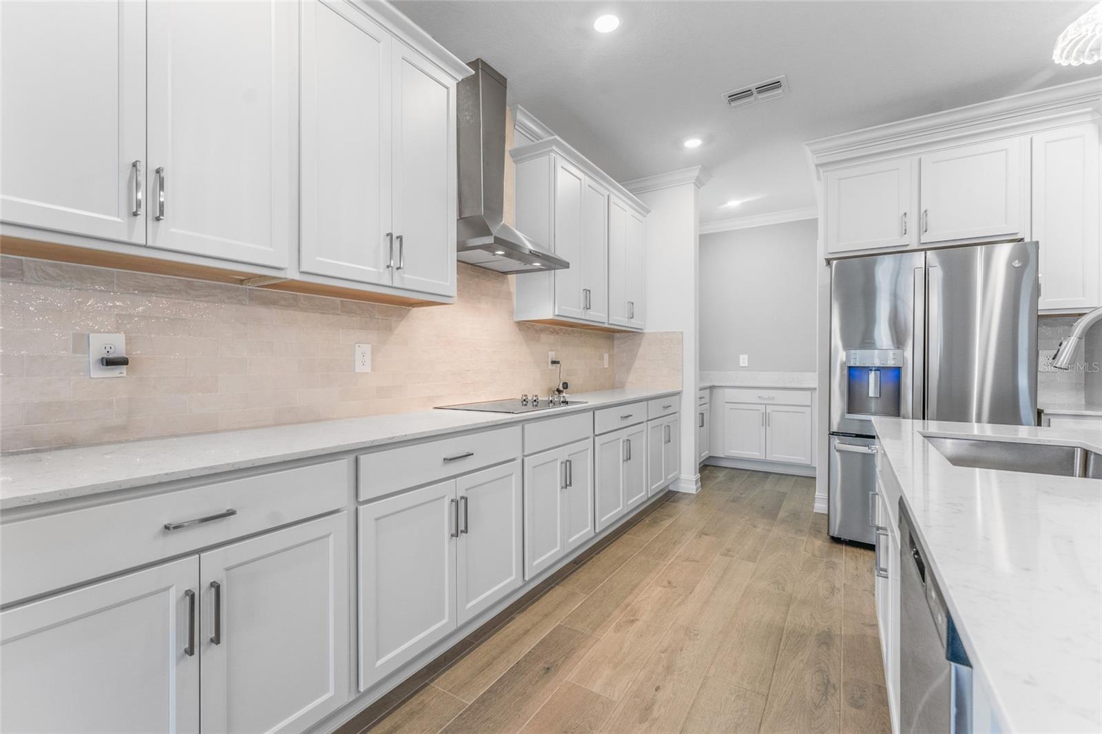 18255 SERENE LAKE LOOP, LUTZ, FL, 33548