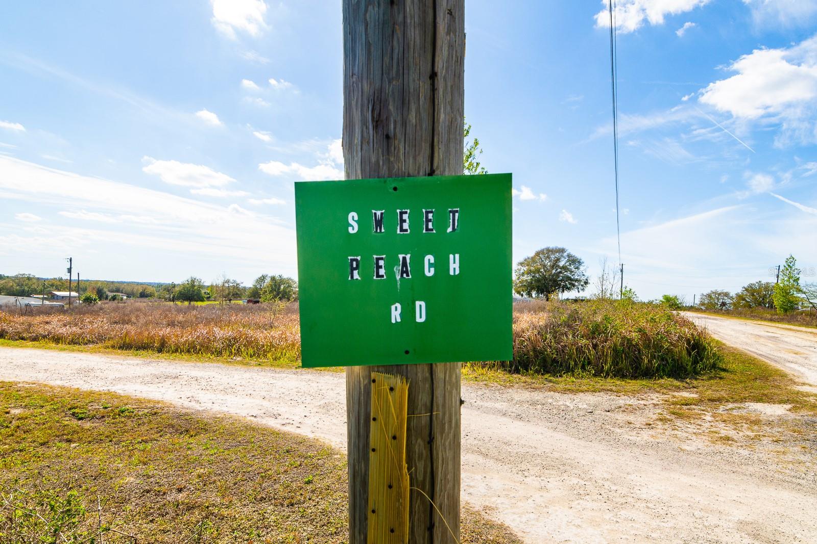 SWEET PEACH RD, BROOKSVILLE, FL, 34614