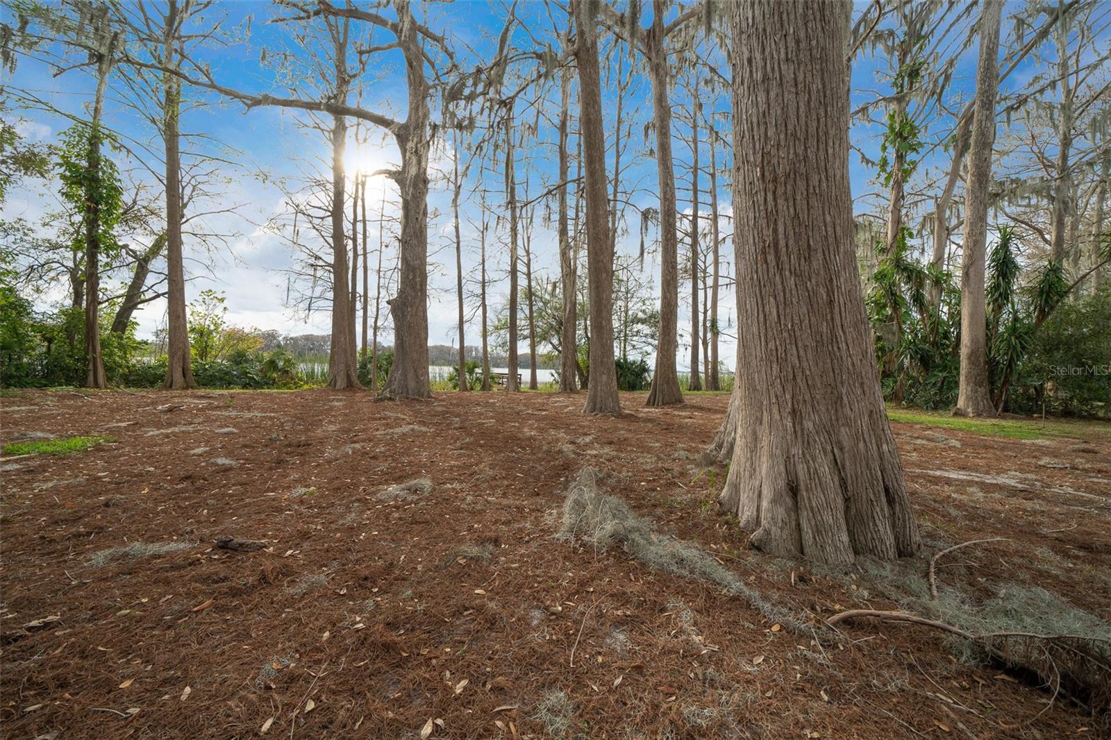 30713 GEORGE DR, TAVARES, FL, 32778