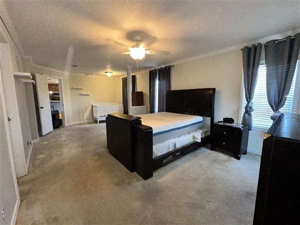 7668 W GROVE ST, HOMOSASSA, FL, 34446