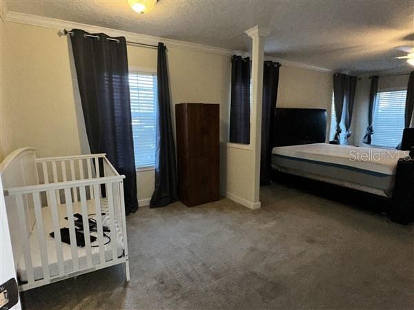 7668 W GROVE ST, HOMOSASSA, FL, 34446