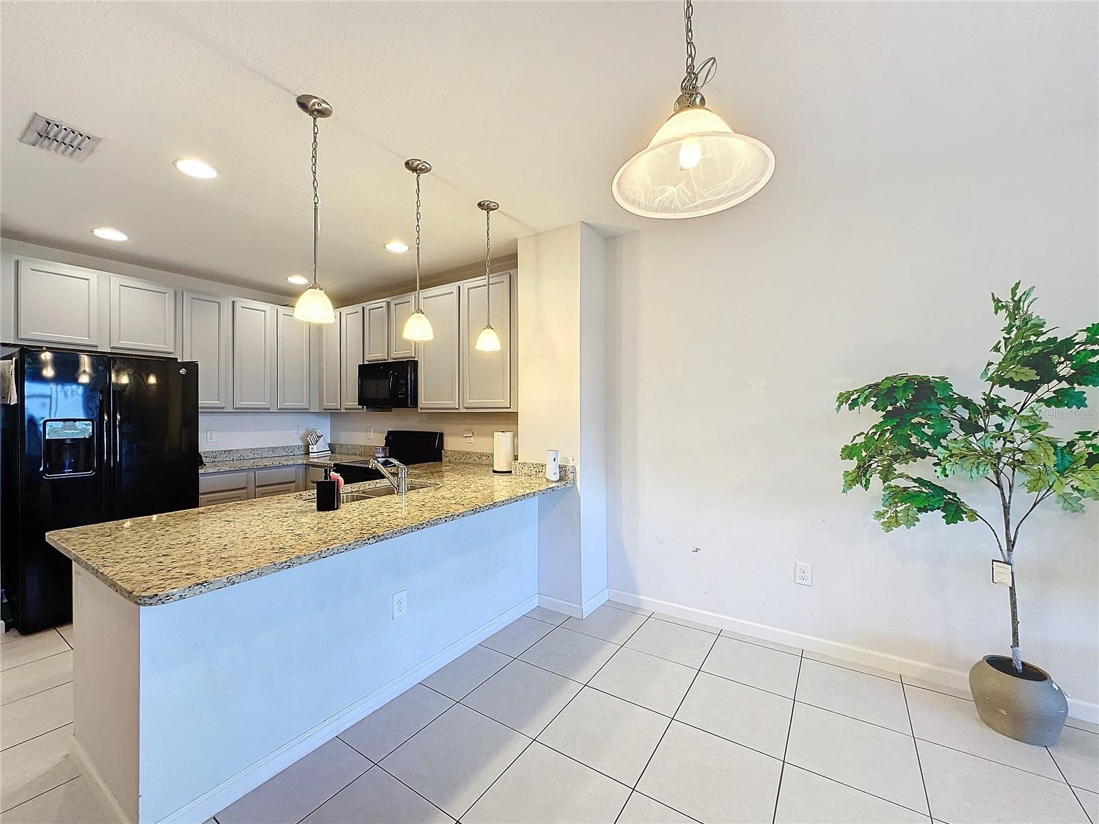1510 CHELSEA DR, DAVENPORT, FL, 33897