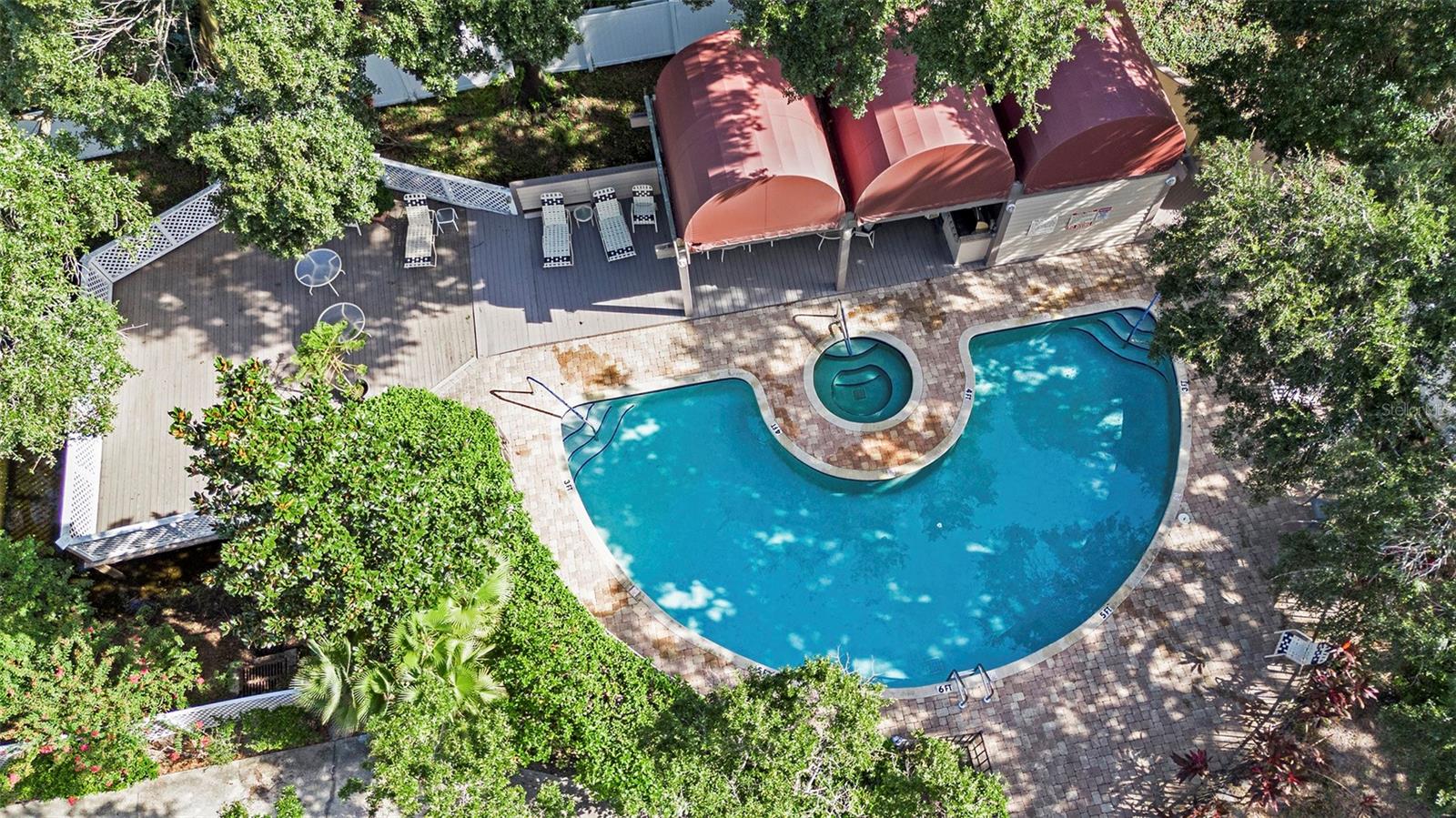 3211 W SWANN AVE #210, TAMPA, FL, 33609