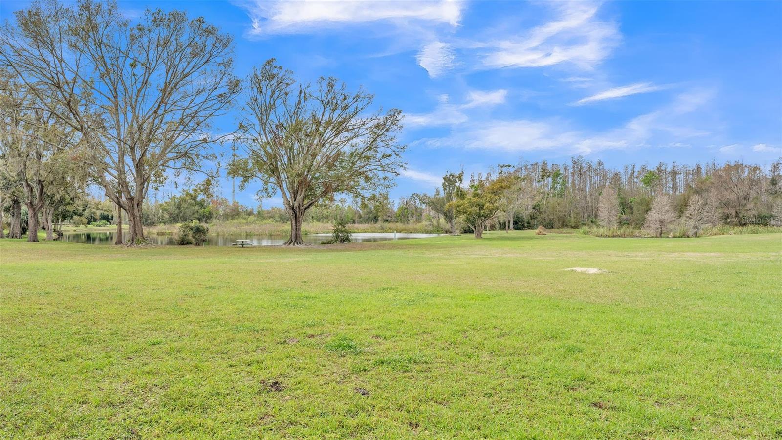 2151 PARK CRESCENT DR, LAND O LAKES, FL, 34639