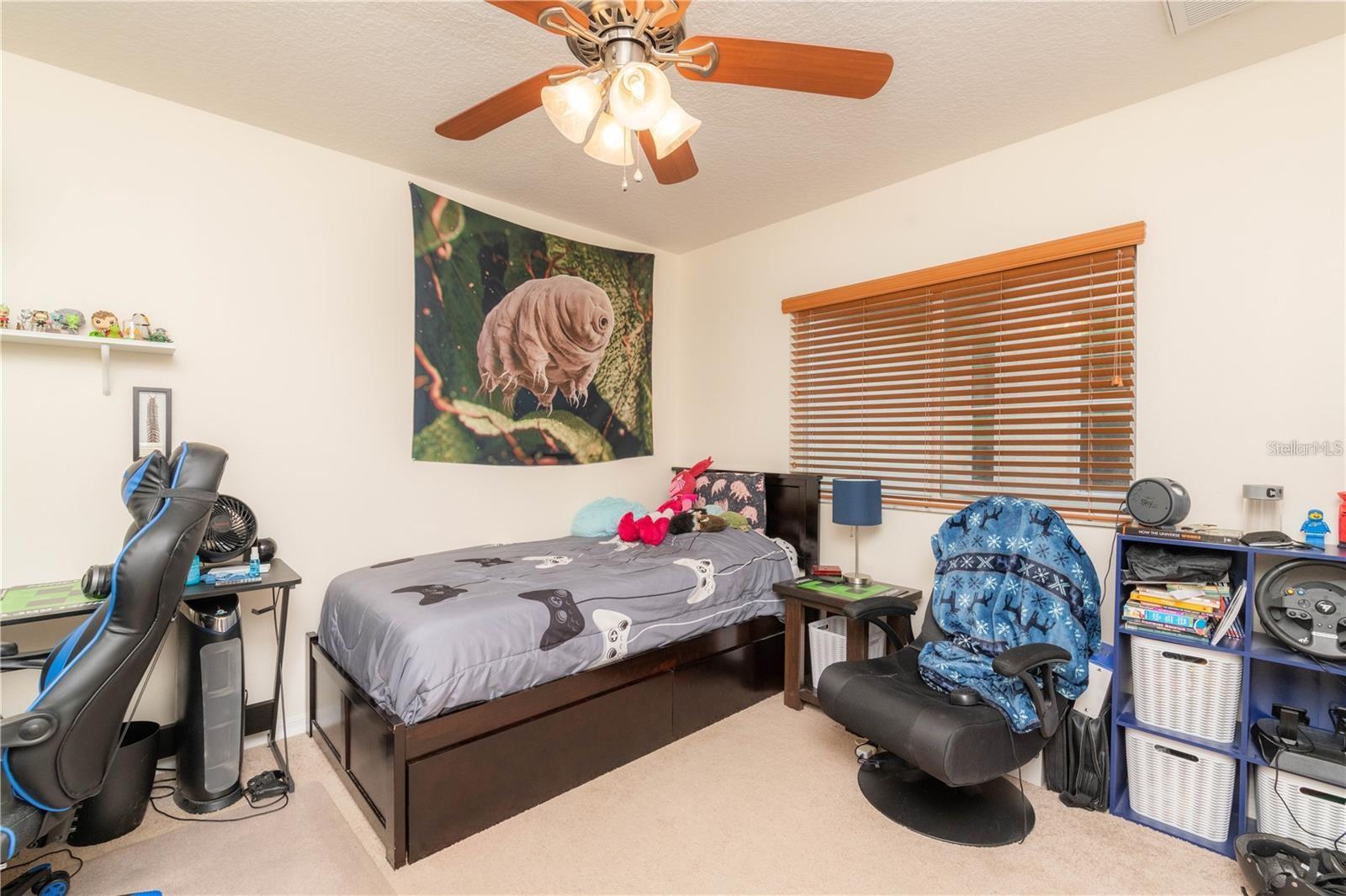 4322 HIGH RIDGE AVE, SPRING HILL, FL, 34609