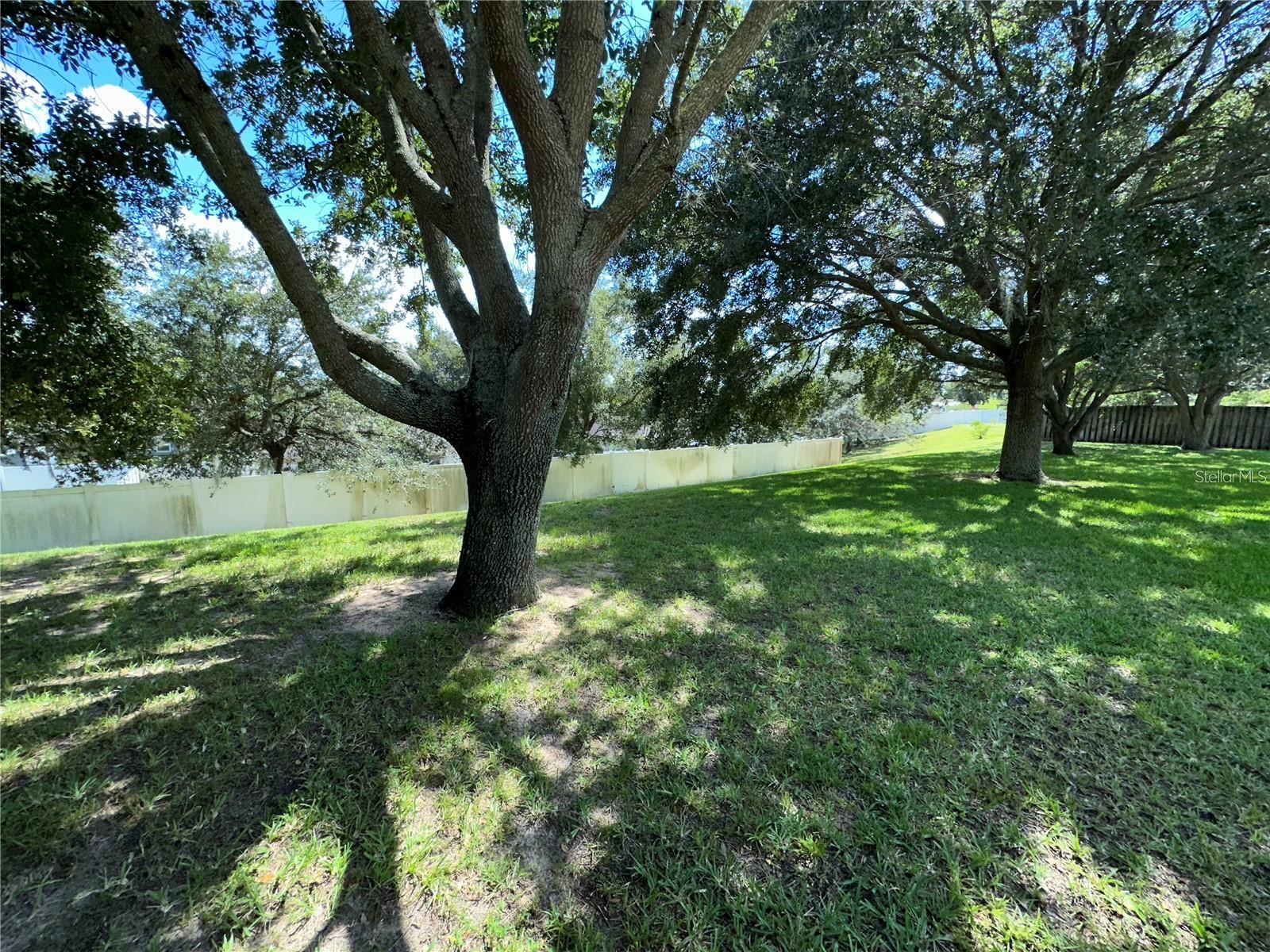 1844 SUMMIT OAK CIR, MINNEOLA, FL, 34715