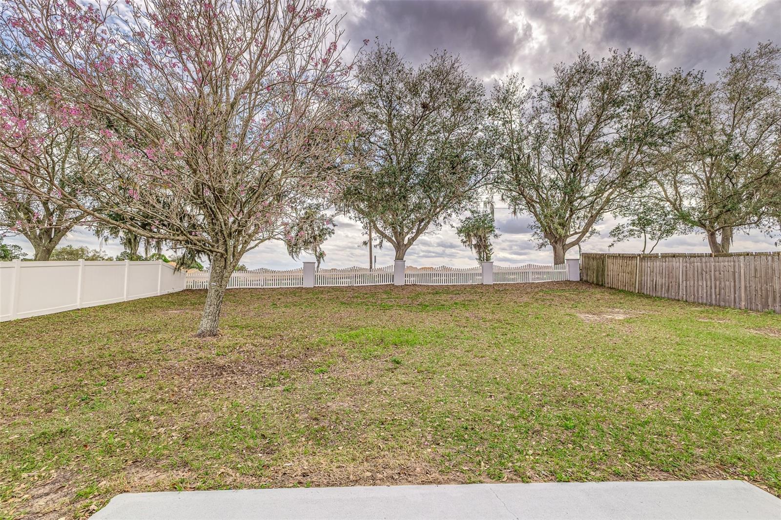 3815 HORIZON VIEW LOOP, LAKELAND, FL, 33813
