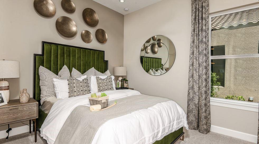 29912 RUSCO CT, WESLEY CHAPEL, FL, 33545