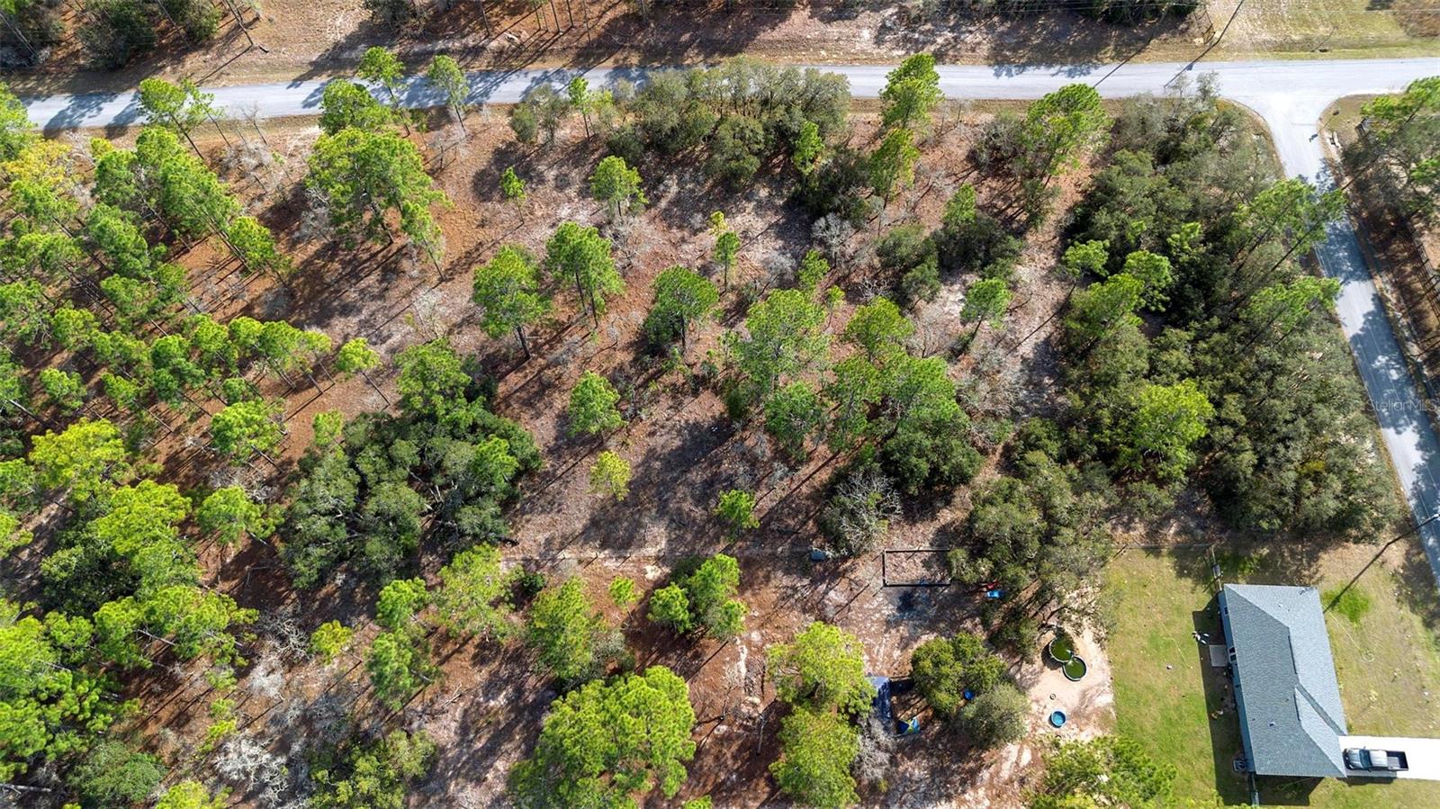 UNDETERMINED, DUNNELLON, FL, 34431