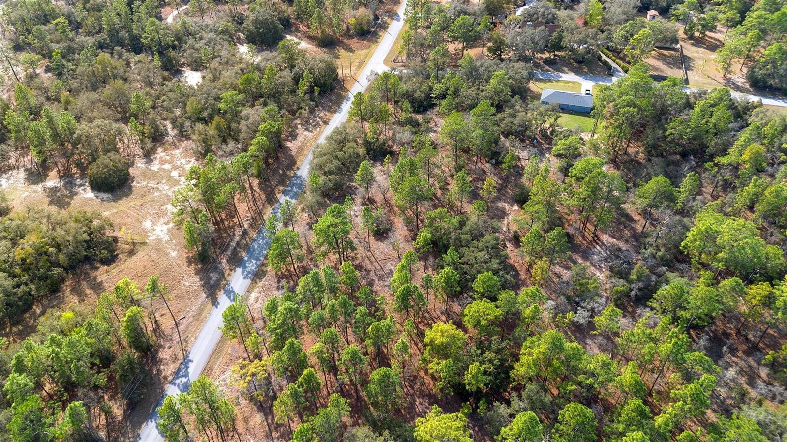 UNDETERMINED, DUNNELLON, FL, 34431