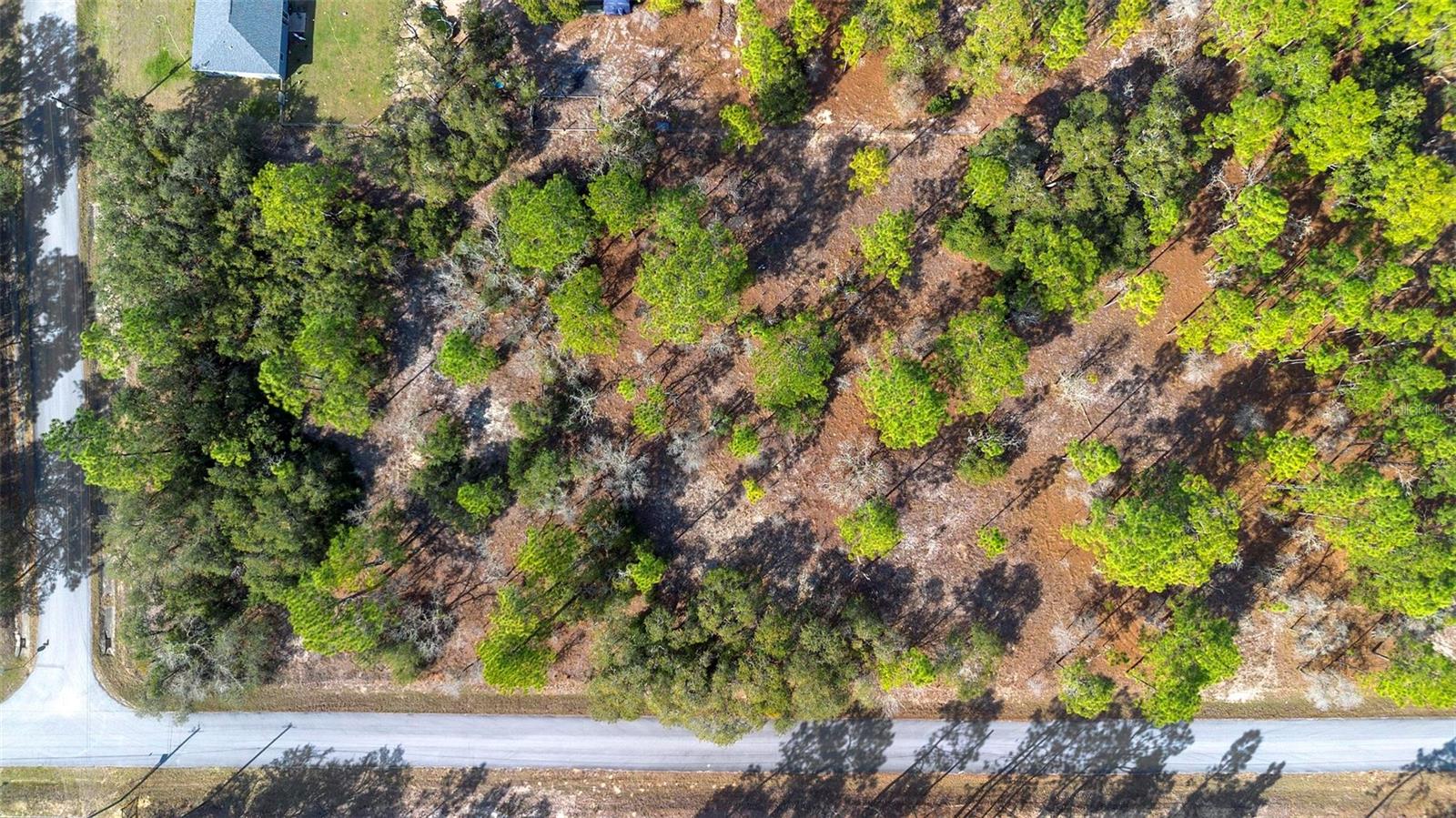 UNDETERMINED, DUNNELLON, FL, 34431
