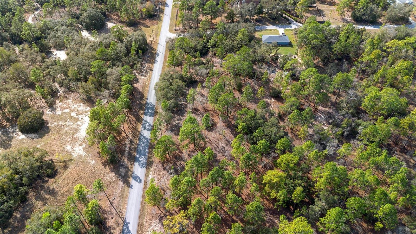 UNDETERMINED, DUNNELLON, FL, 34431