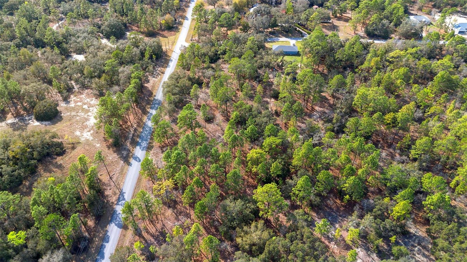 UNDETERMINED, DUNNELLON, FL, 34431
