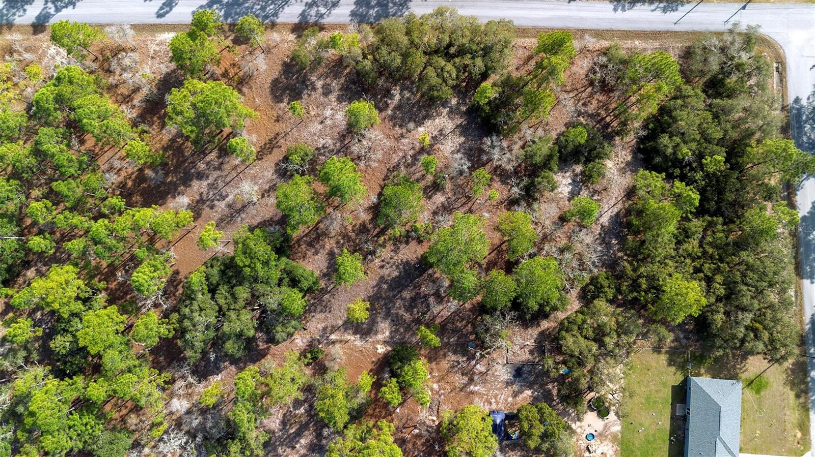 UNDETERMINED, DUNNELLON, FL, 34431