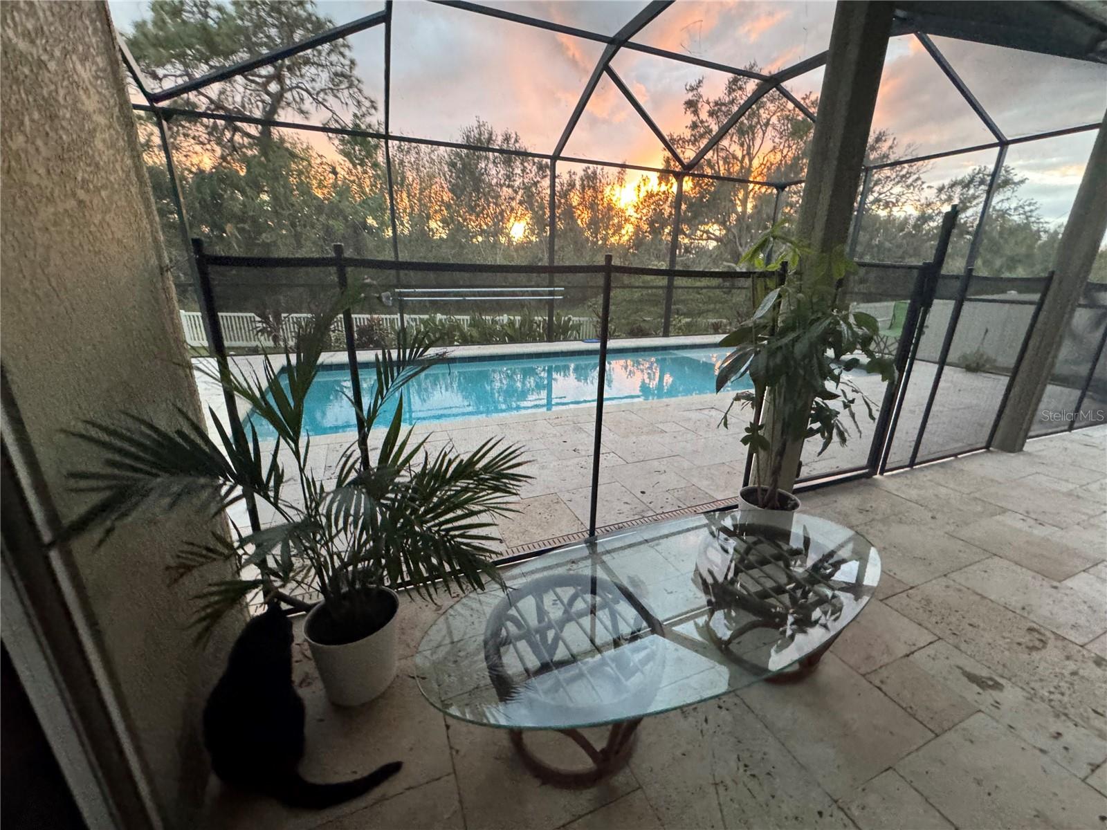 11159 RUNNING PINE DR, RIVERVIEW, FL, 33569