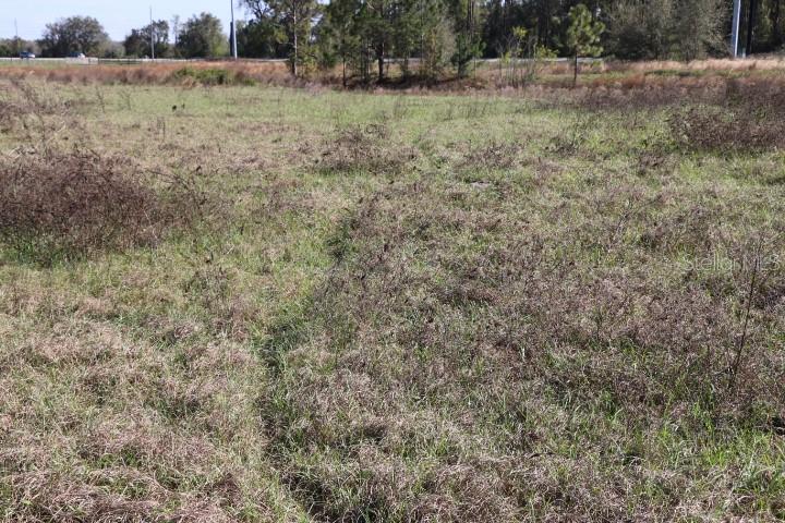 CR 48, BUSHNELL, FL, 33513