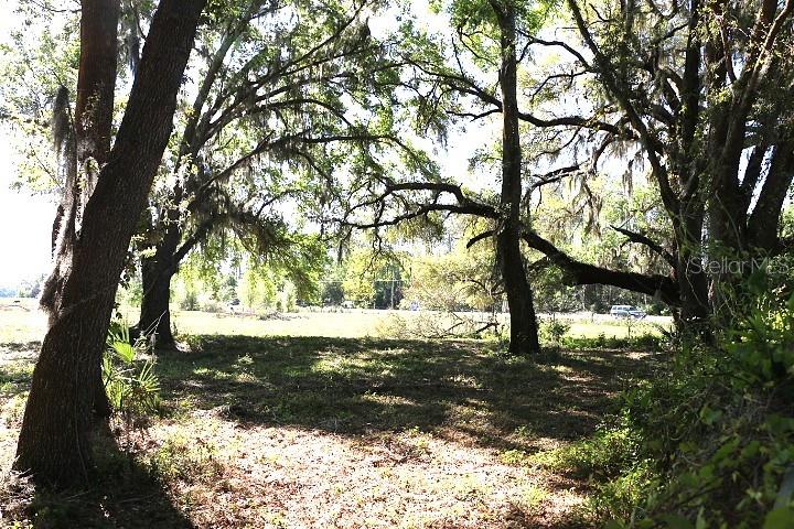 CR 48, BUSHNELL, FL, 33513