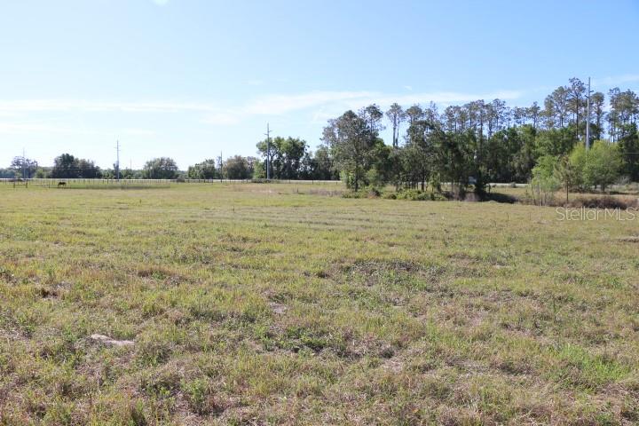 CR 48, BUSHNELL, FL, 33513