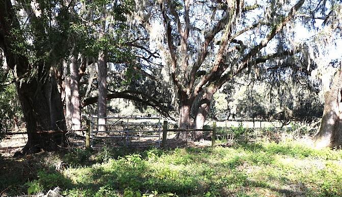 CR 48, BUSHNELL, FL, 33513