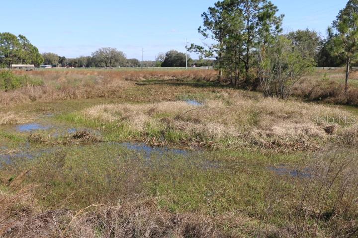 CR 48, BUSHNELL, FL, 33513