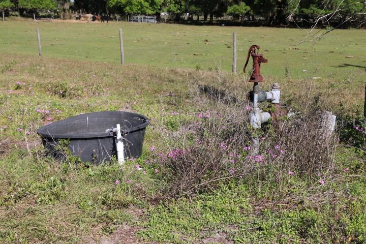 CR 48, BUSHNELL, FL, 33513