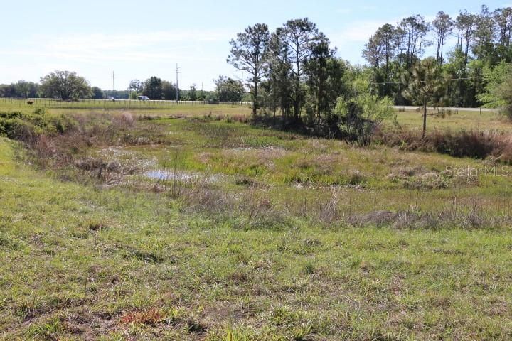 CR 48, BUSHNELL, FL, 33513