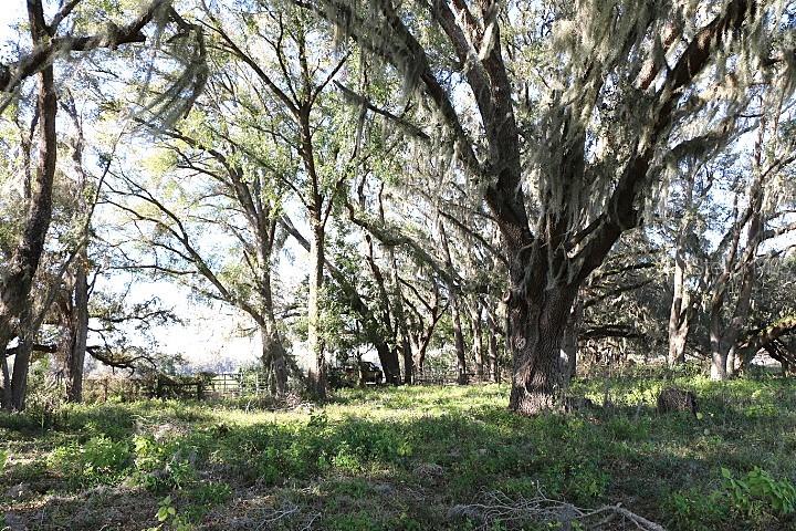 CR 48, BUSHNELL, FL, 33513