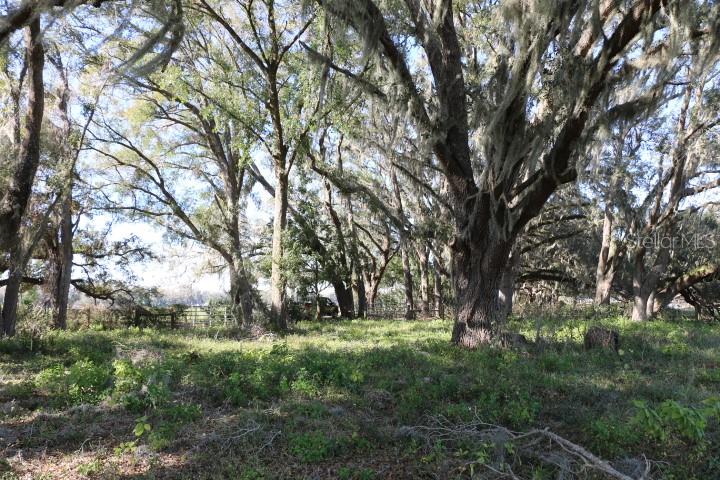 CR 48, BUSHNELL, FL, 33513