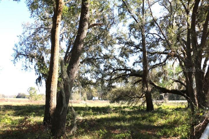 CR 48, BUSHNELL, FL, 33513