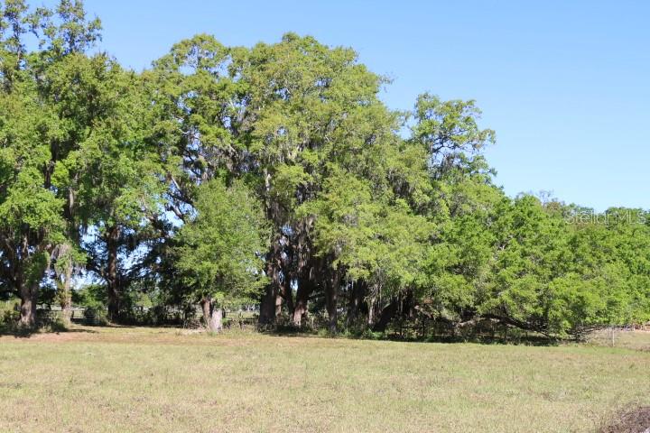 CR 48, BUSHNELL, FL, 33513