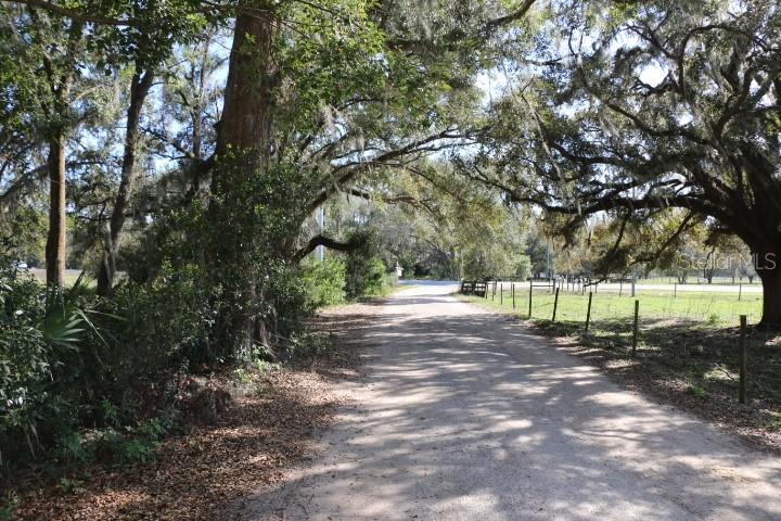 CR 48, BUSHNELL, FL, 33513