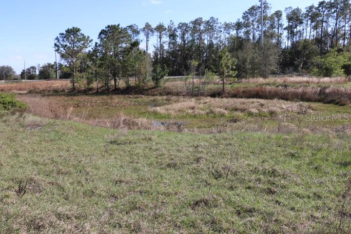 CR 48, BUSHNELL, FL, 33513