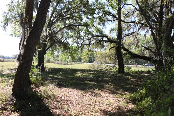 CR 48, BUSHNELL, FL, 33513