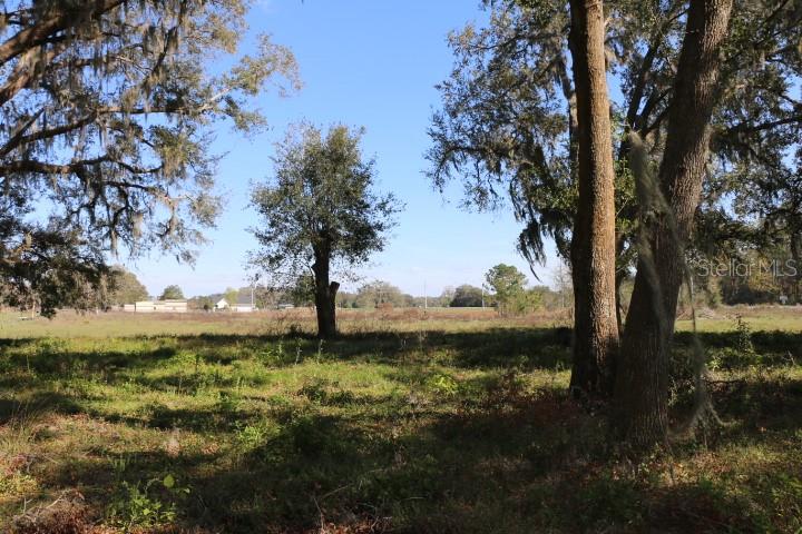 CR 48, BUSHNELL, FL, 33513