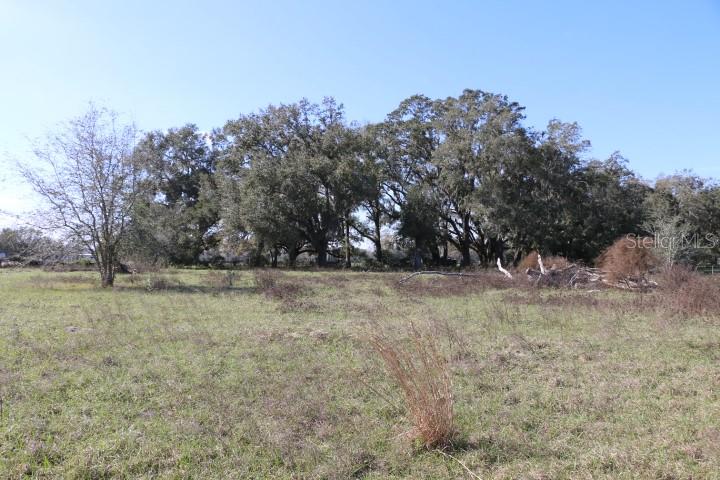CR 48, BUSHNELL, FL, 33513